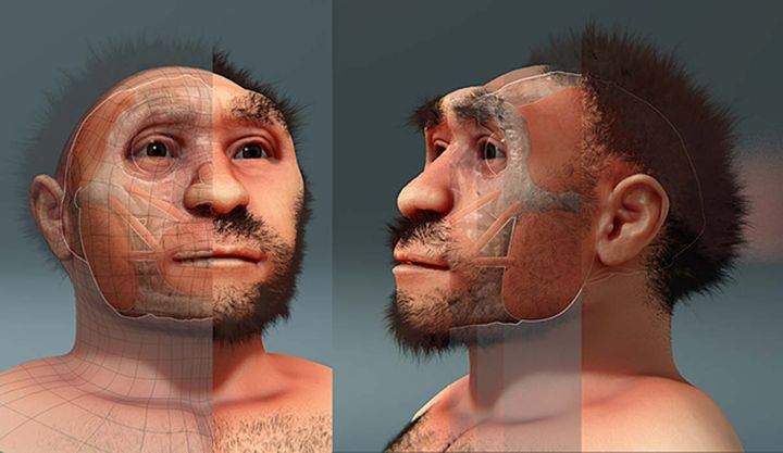 Reconstrucción facial e Inteligencia Artificial